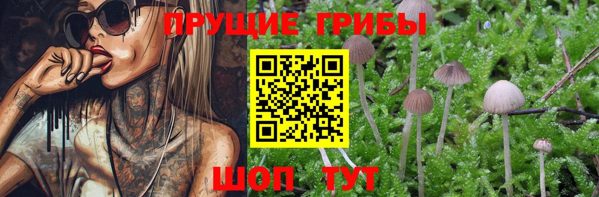 Миллерово  Галлюциногенные грибы GOLDEN TEACHER  Вход с VPN 