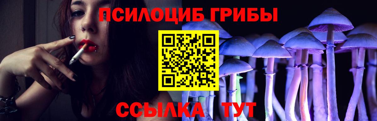 Галлюциногенные грибы Magic Shrooms Миллерово